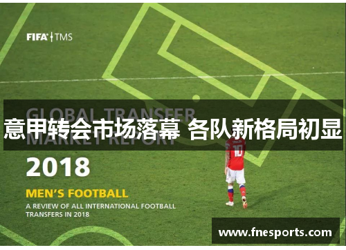 意甲转会市场落幕 各队新格局初显