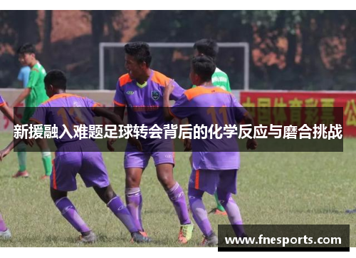 新援融入难题足球转会背后的化学反应与磨合挑战 新援融入难题足球转会背后的化学反应与磨合挑战
